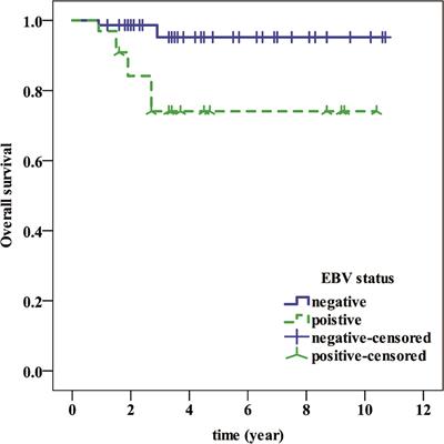 CD20 expression is closely associated with Epstein–Barr virus infection and an inferior survival in nodular sclerosis classical Hodgkin lymphoma